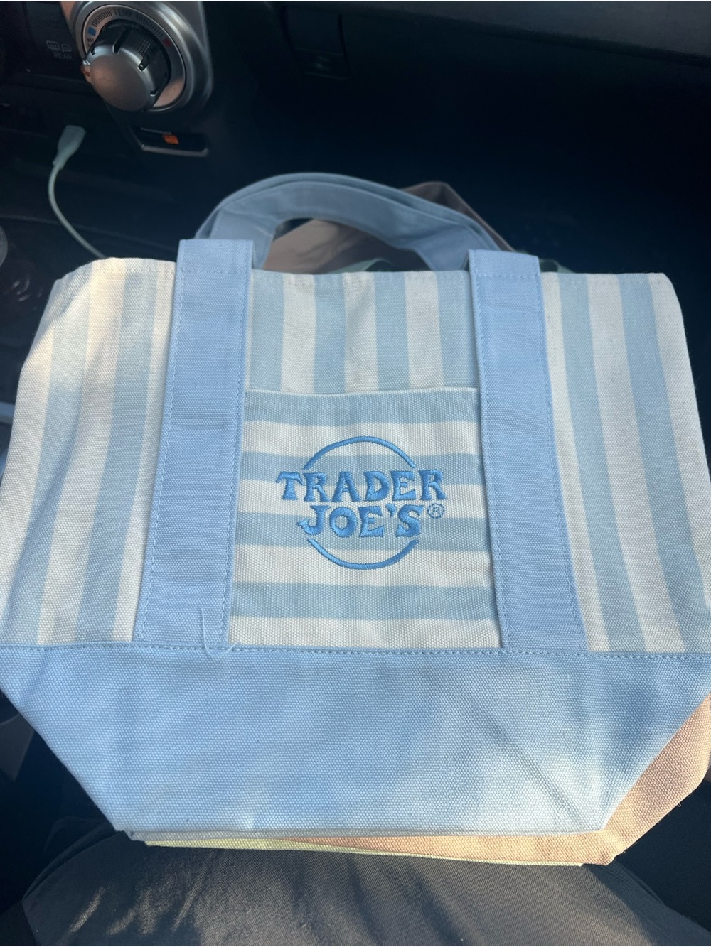 Trader Joe's Blue & White Striped Mini Tote Bag NWT